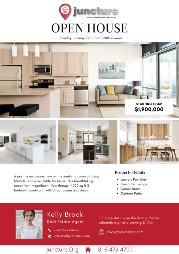 Listing Flyer Templates (Set of 12 Different Designs)