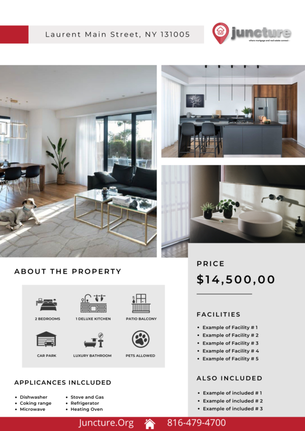 Listing Flyer Templates (Set of 12 Different Designs) - Image 10