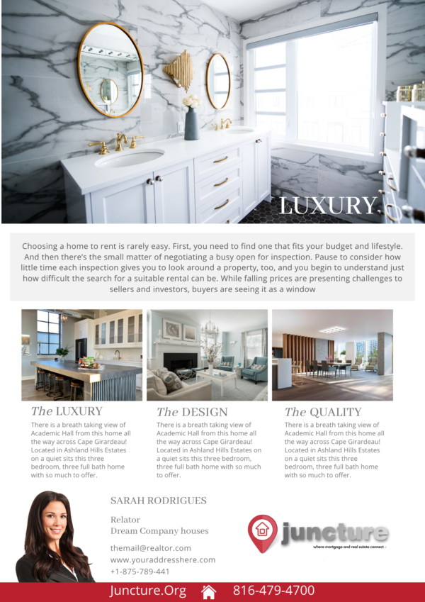 Listing Flyer Templates (Set of 12 Different Designs) - Image 9
