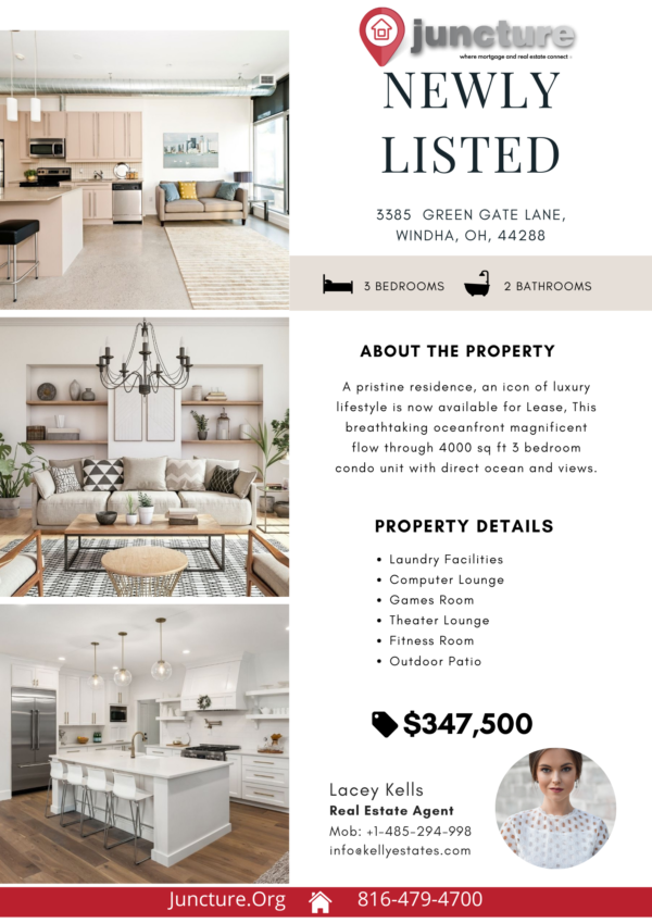 Listing Flyer Templates (Set of 12 Different Designs) - Image 8