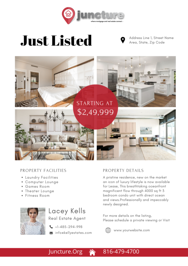 Listing Flyer Templates (Set of 12 Different Designs) - Image 6