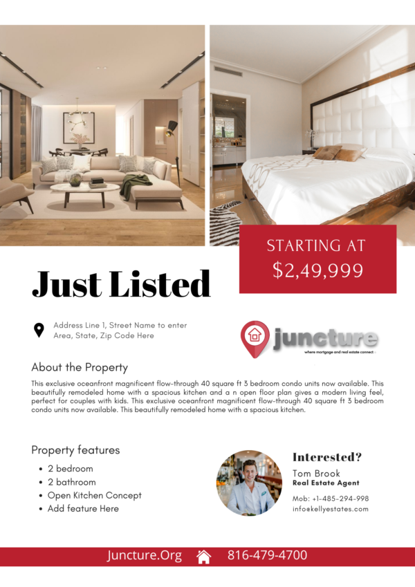 Listing Flyer Templates (Set of 12 Different Designs) - Image 5